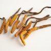 Yarshagumba (Cordyceps sinensis)-750ML