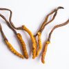 Yarshagumba (Cordyceps sinensis)-750ML