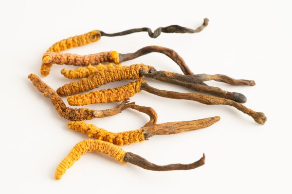 Yarshagumba (Cordyceps sinensis)-750ML